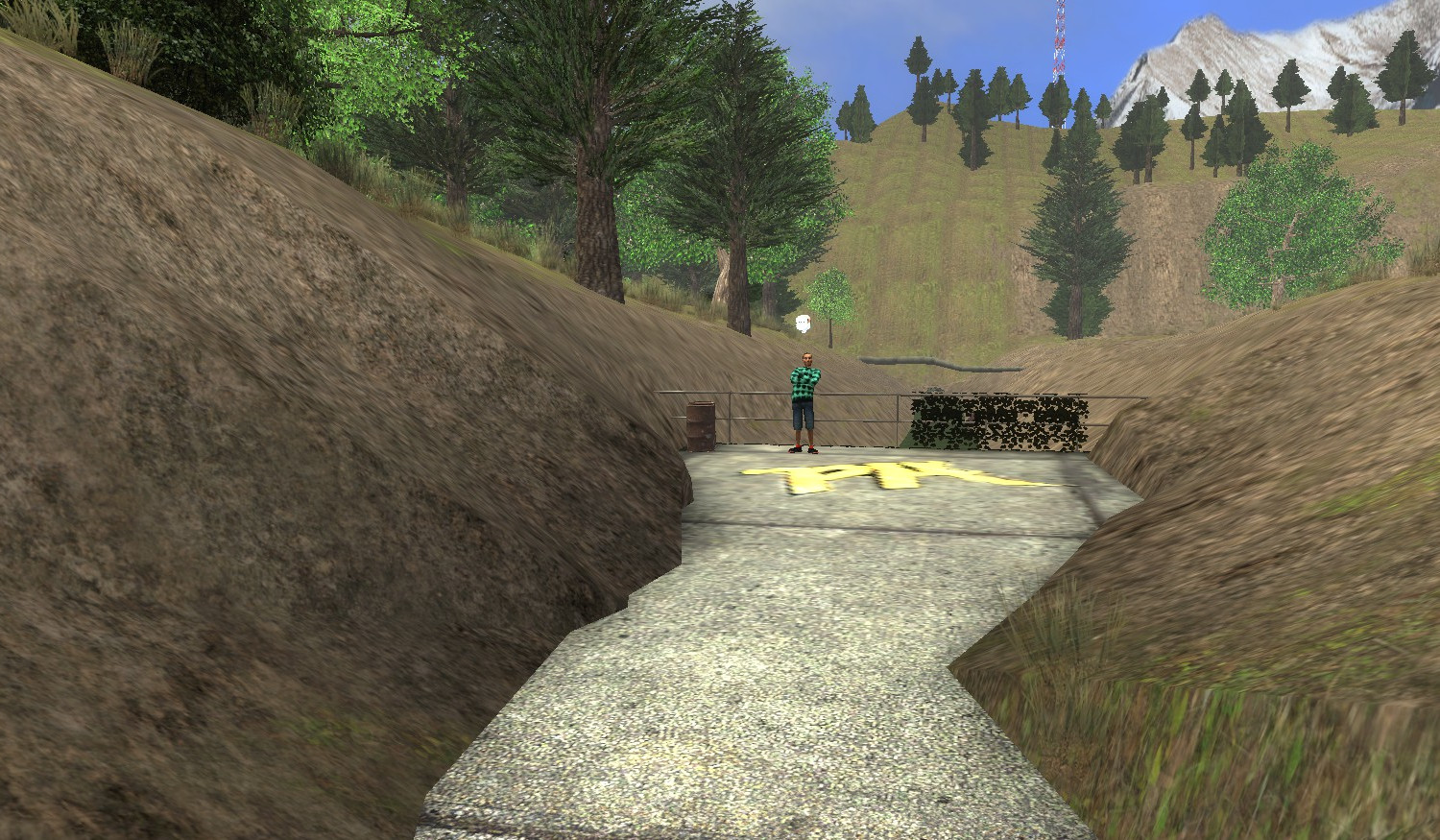 Forest Outlet DD NPC